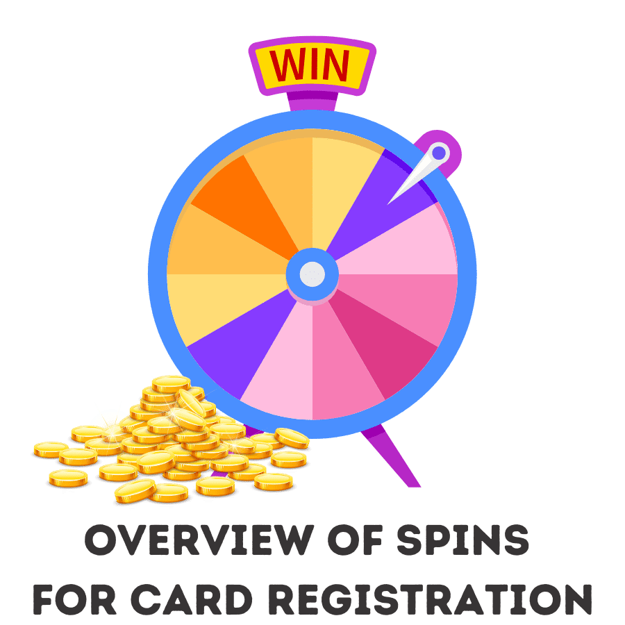 overview of spins for card registration